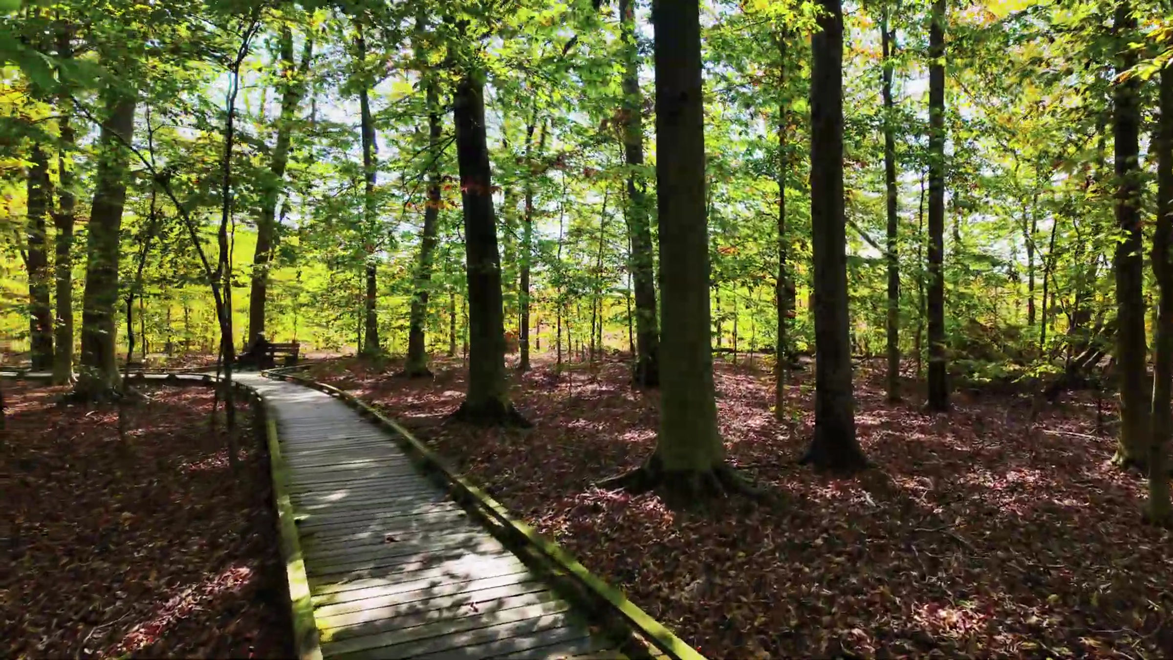 Great Swamp National Wildlife Refuge